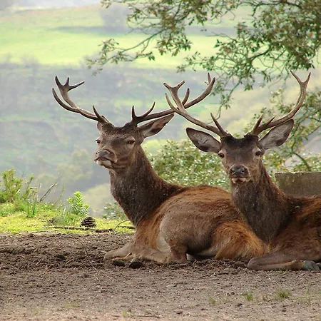 Trip Διαμέρισμα